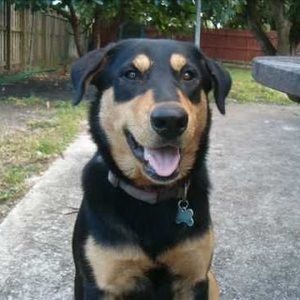 Meet your Posher, Caitlin